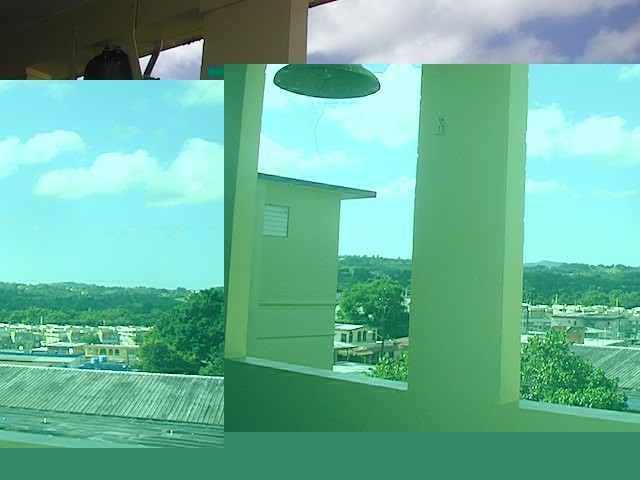 P1010094