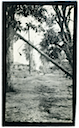 Fotos post huracán San Felipe (1928)