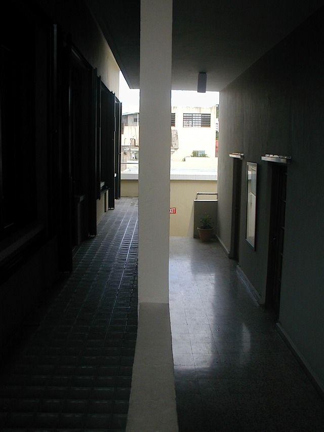 P1010005