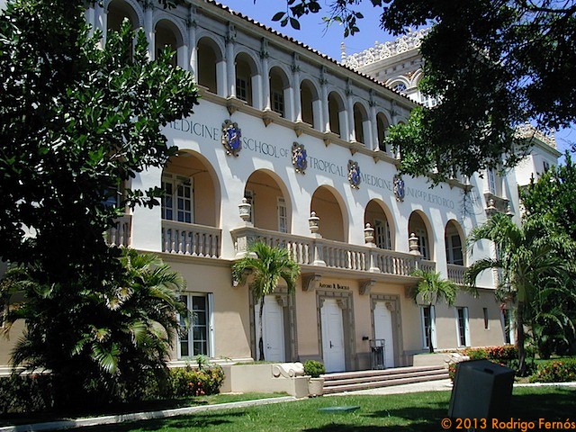 P1010039