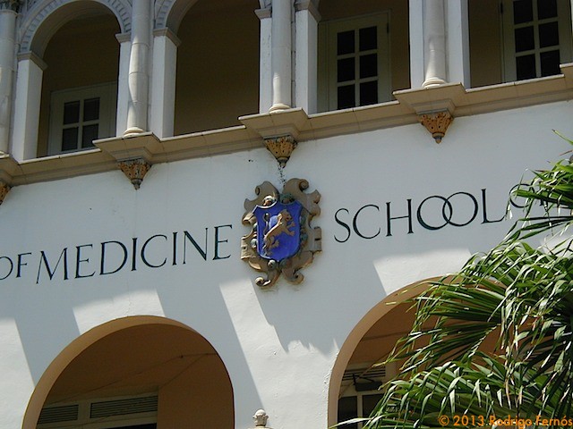 P1010046