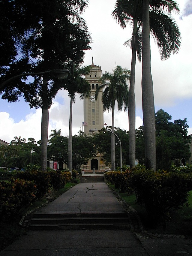 P1010050