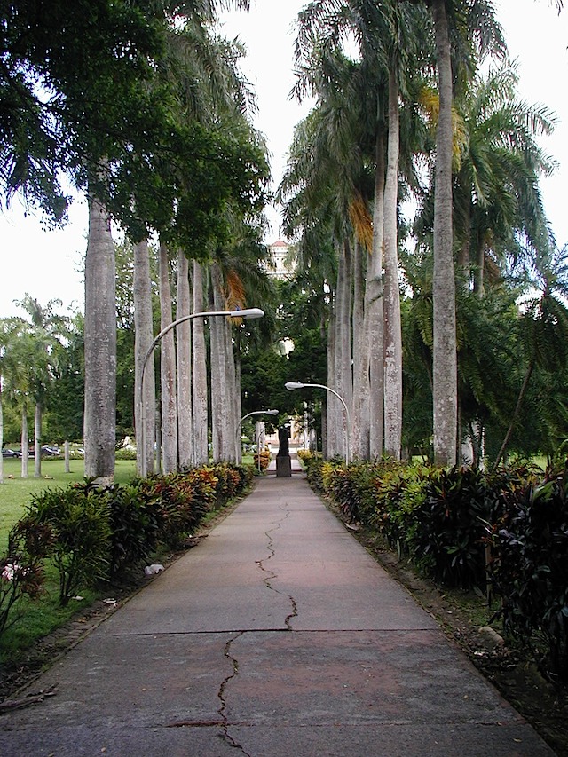 P1010051