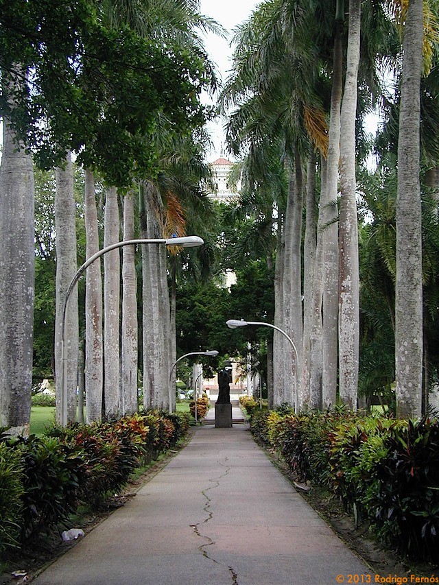 P1010052