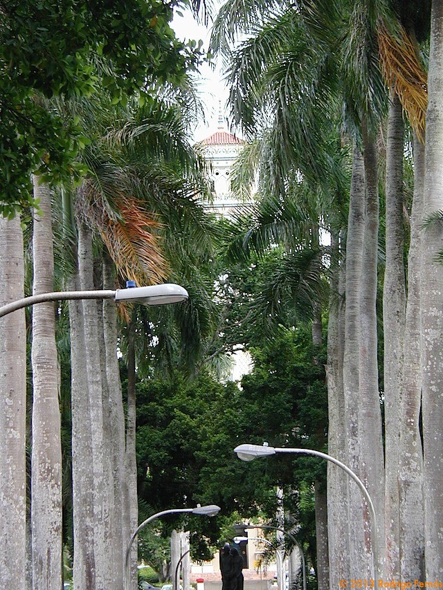 P1010053