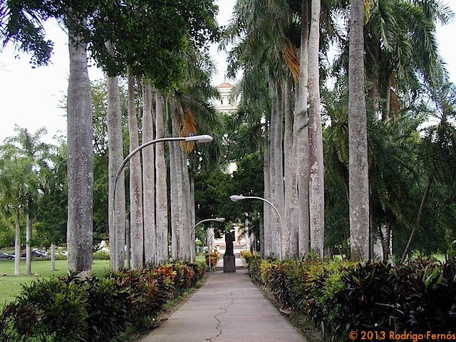 P1010054