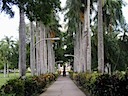 P1010054