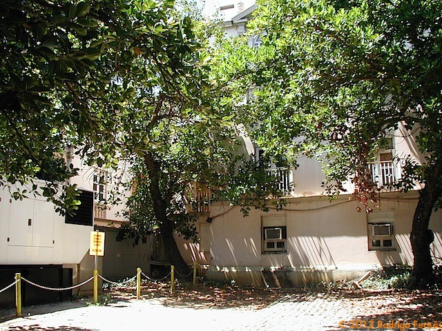P1010064