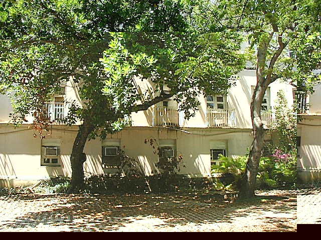 P1010065