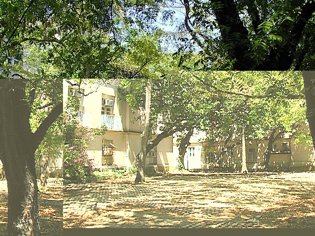 P1010067