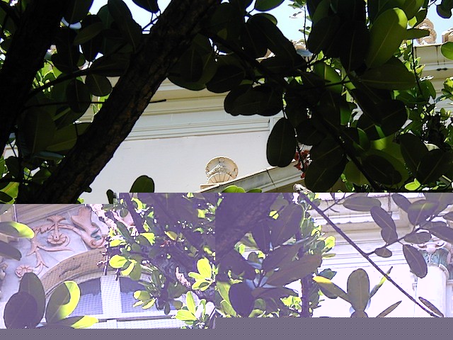 P1010072
