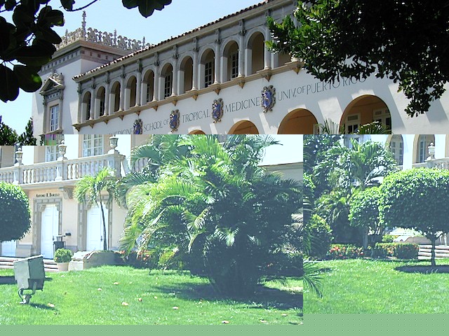 P1010076