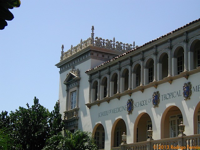 P1010078