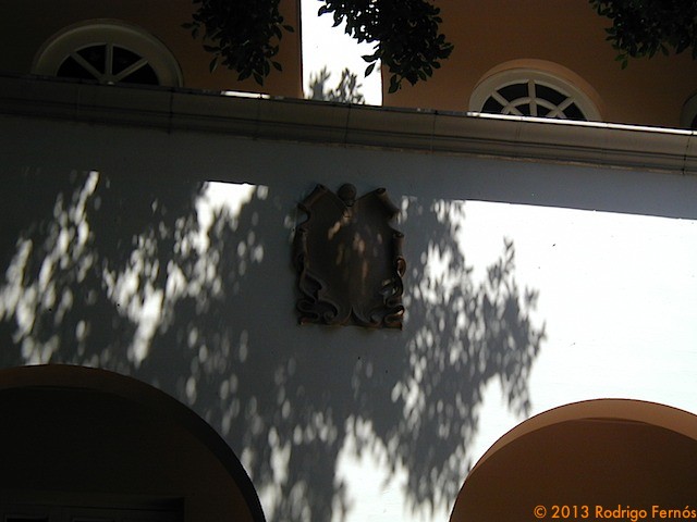 P1010088